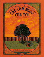 Cây cam ngọt của tôi (José Mauro de Vasconcelos).pdf